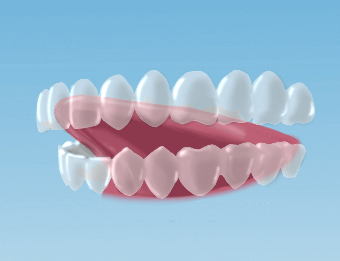 L sound mouth placement — tongue touches the roof of the mouth behind the upper teeth